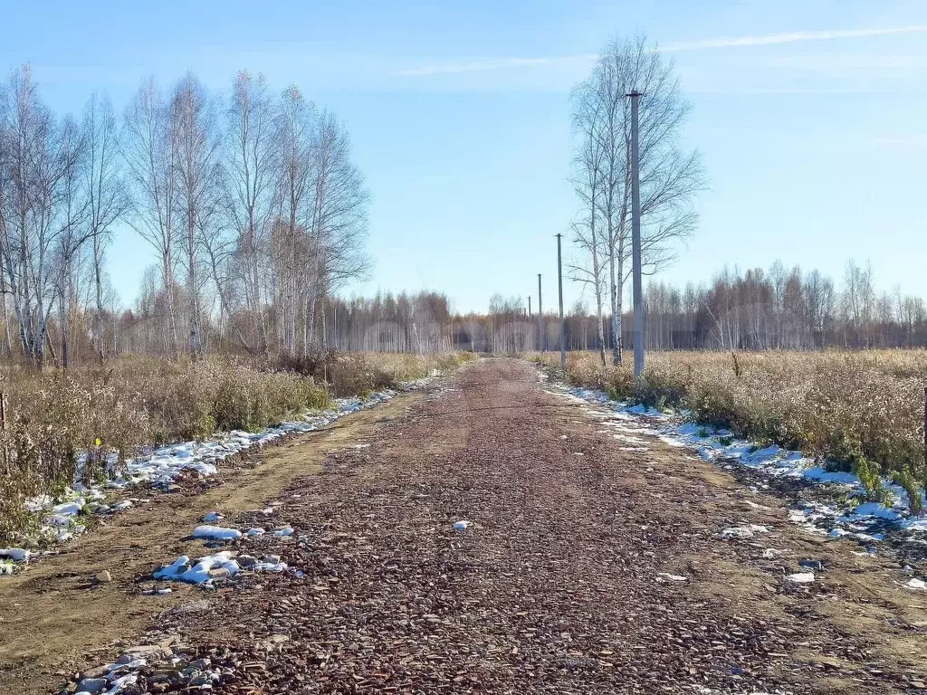 Участок 6 сот. (СНТ, ДНП) - Фото 0