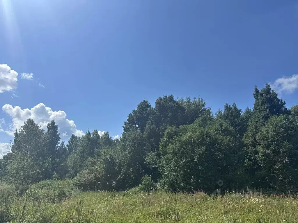 Участок в Московская область, Рузский муниципальный округ, д. ... - Фото 1