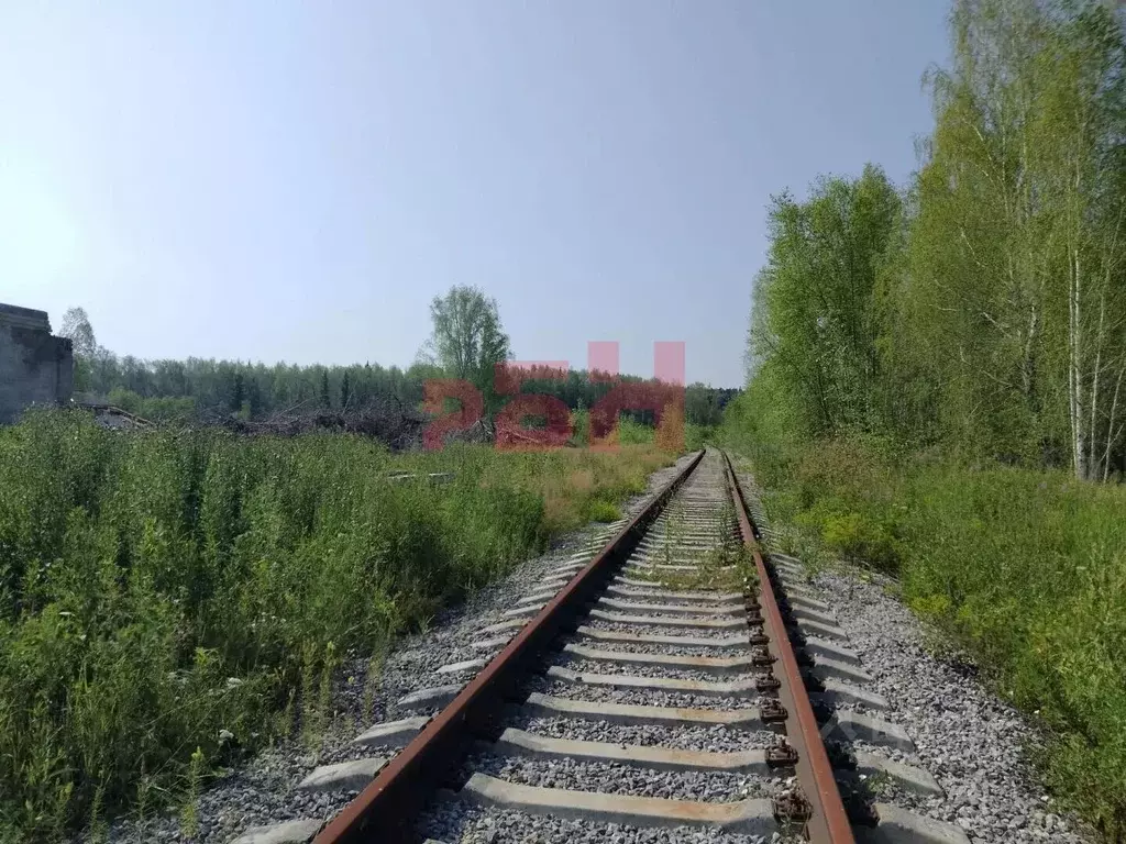 Помещение свободного назначения в Свердловская область, Камышловский ... - Фото 1
