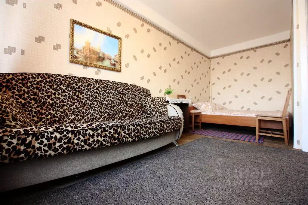 снять квартиру пискаревский проспект