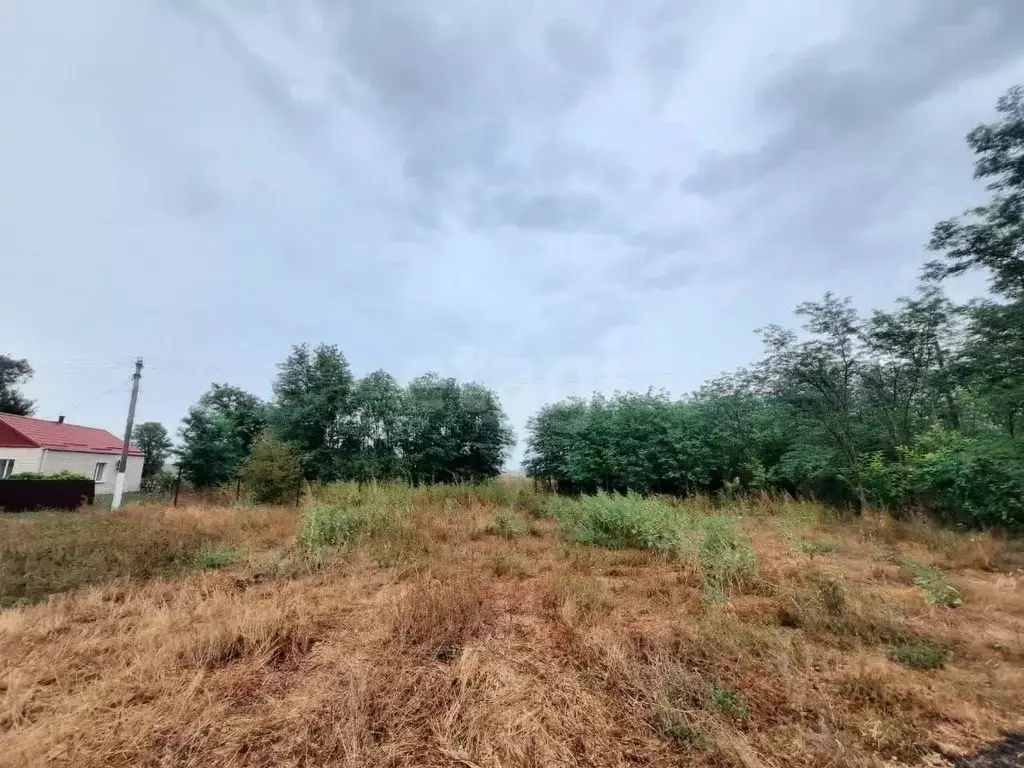 Участок в Ростовская область, Азовский район, Отрадовское с/пос, ... - Фото 2