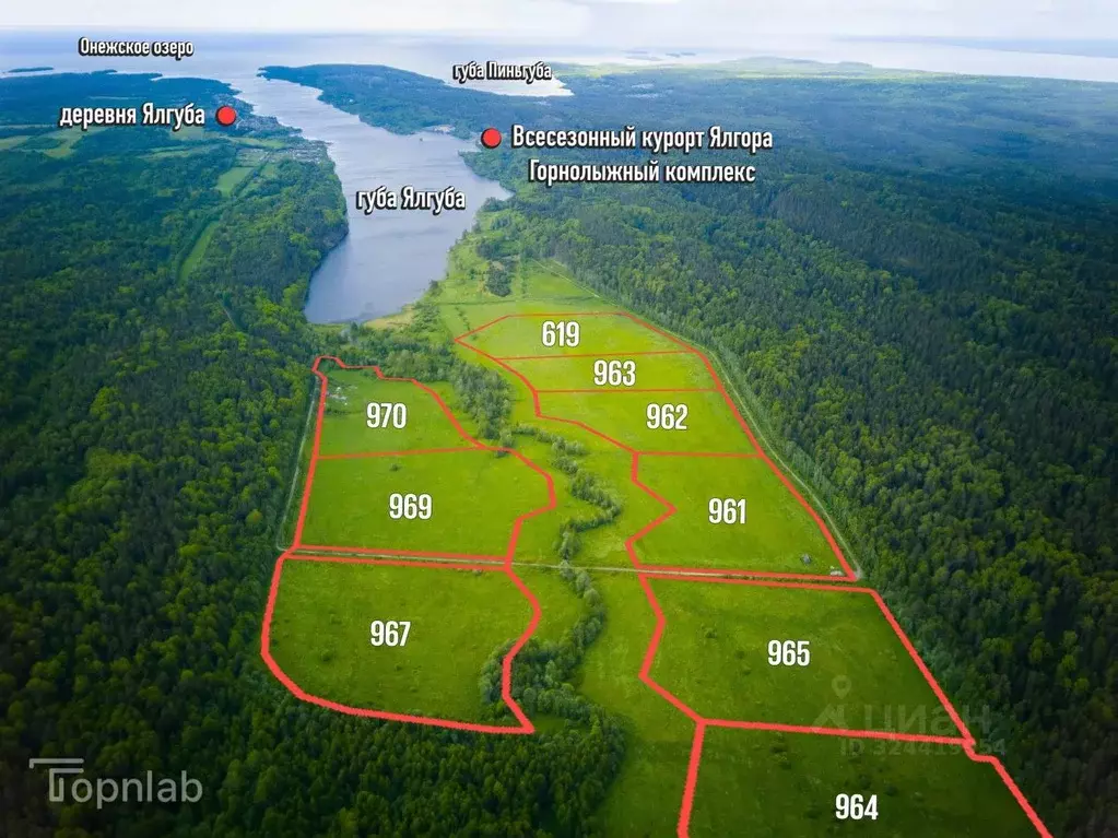 Участок в Карелия, Прионежский район, Заозерское с/пос, д. Ялгуба  ... - Фото 2