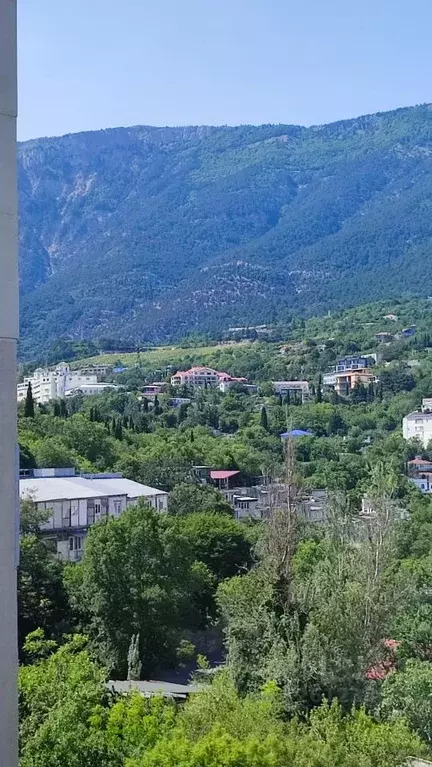 3-к кв. Крым, Ялта ул. Украинская, 5А (100.0 м) - Фото 1