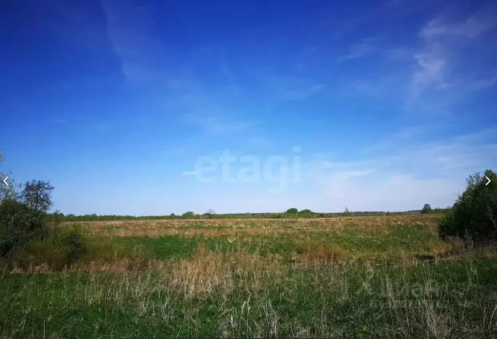 Участок в Ярославская область, Тутаевский муниципальный округ, ... - Фото 2