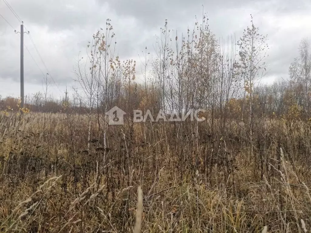 Участок в Владимирская область, Суздальский район, с. Новоалександрово ... - Фото 1