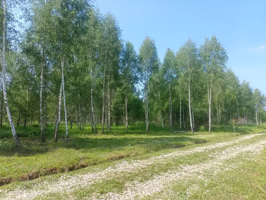 Участок в Тульская область, Заокский район, Страховское с/пос, д. ... - Фото 1