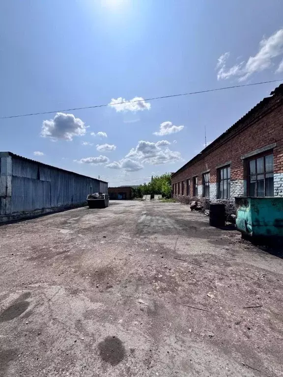 Помещение свободного назначения в Кемеровская область, Киселевск ул. ... - Фото 1