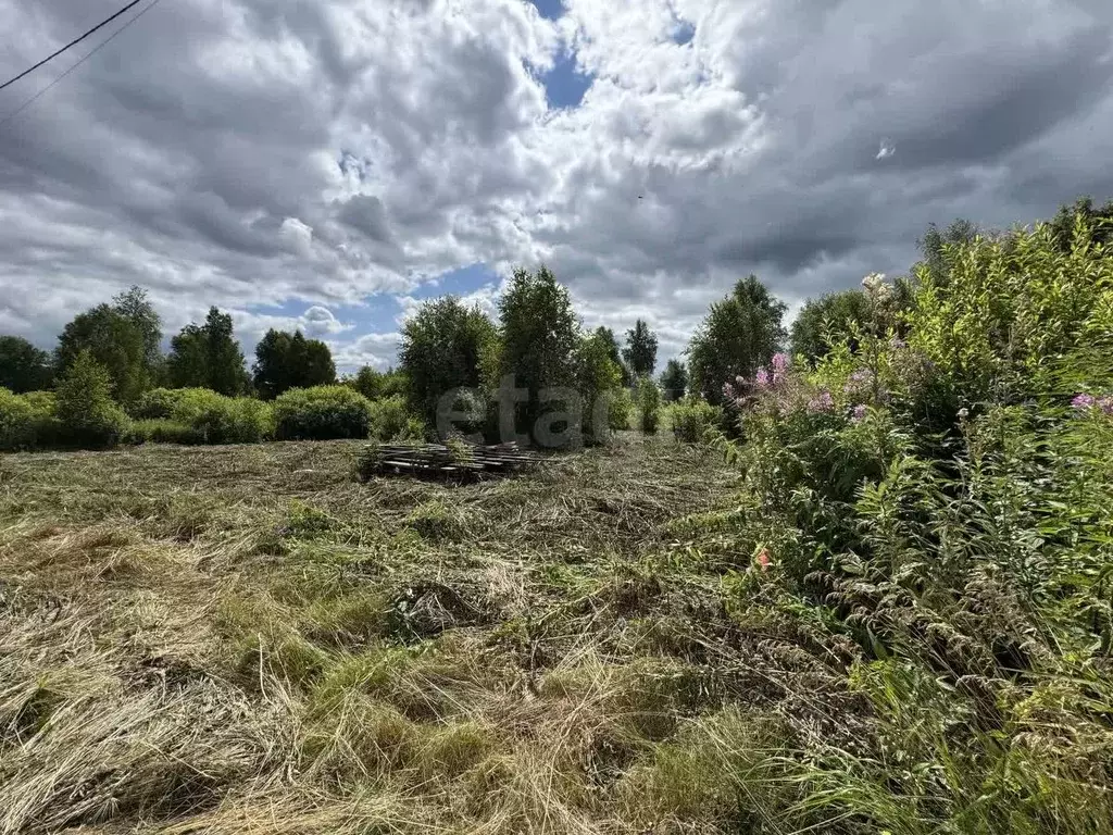 Участок в Тюменская область, Нижнетавдинский муниципальный округ, ... - Фото 2