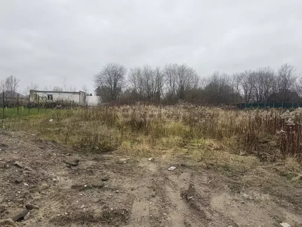 Участок в Калининградская область, Гурьевский муниципальный округ, ... - Фото 2