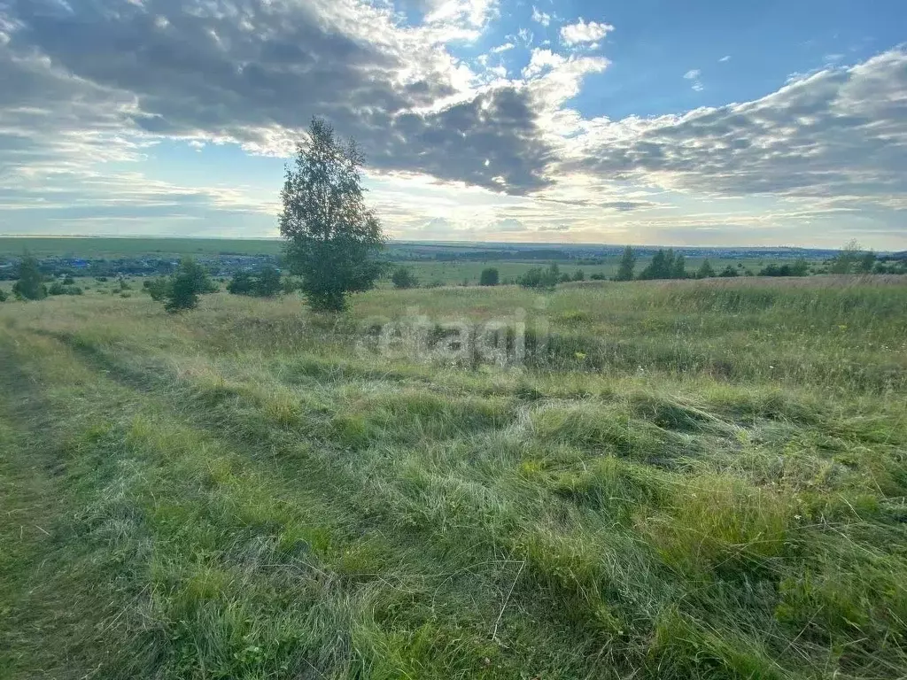 Участок в Мордовия, с. Кочкурово  (15.0 сот.) - Фото 2