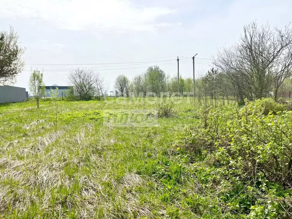 Участок в Калужская область, Боровский район, Ворсино с/пос, д. ... - Фото 2