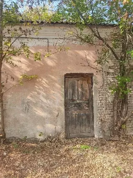Помещение свободного назначения в Нижегородская область, Заволжье г. ... - Фото 0