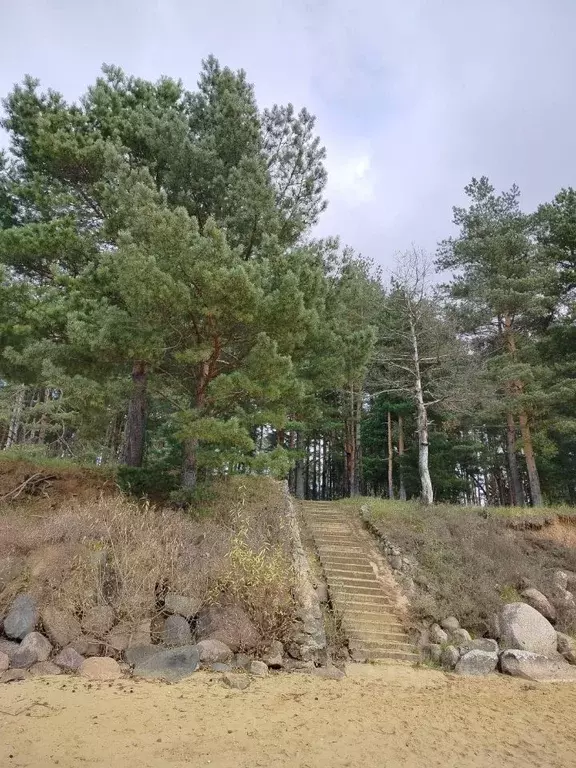 Участок в Ярославская область, Рыбинский муниципальный округ, д. ... - Фото 1