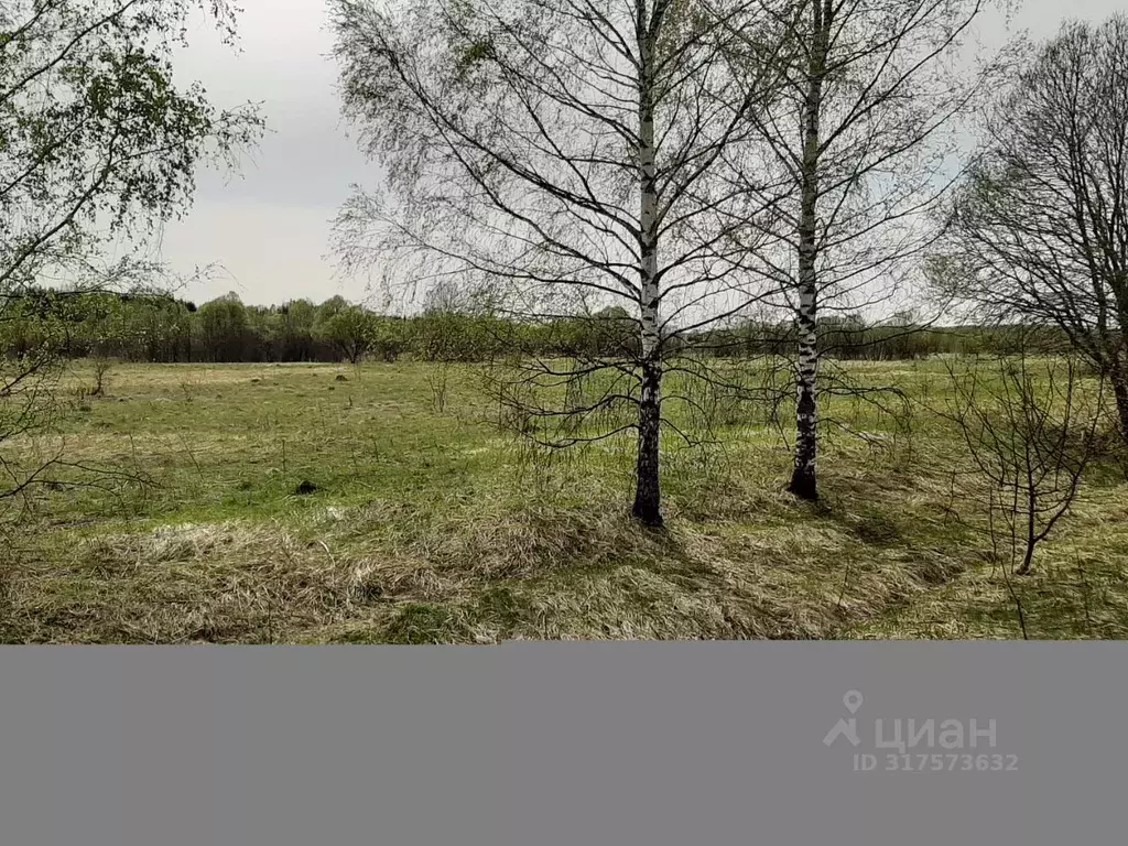 Участок в Смоленская область, Гагаринский муниципальный округ, д. ... - Фото 0