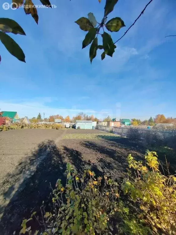 Участок в Омск, территория СОСН Степное имени Е.Ш. Левина, 14-я аллея ... - Фото 2