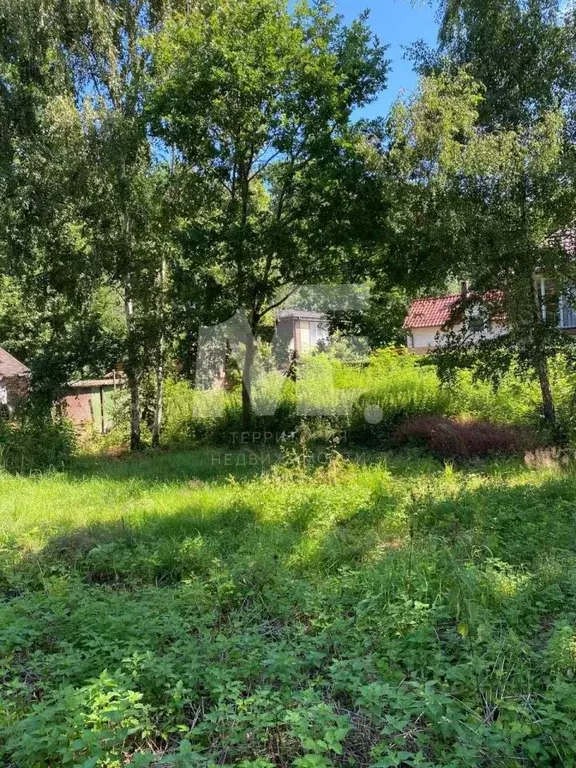 Участок в Калининградская область, Зеленоградский муниципальный округ, ... - Фото 1