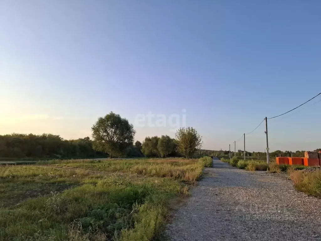 Участок в Воронежская область, Хохольский район, Новогремяченское ... - Фото 0