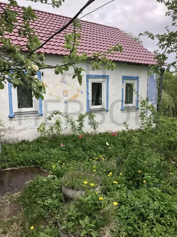Дом в Рязанская область, Ухолово рп ул. Кооперативная, 10 (62 м) - Фото 2