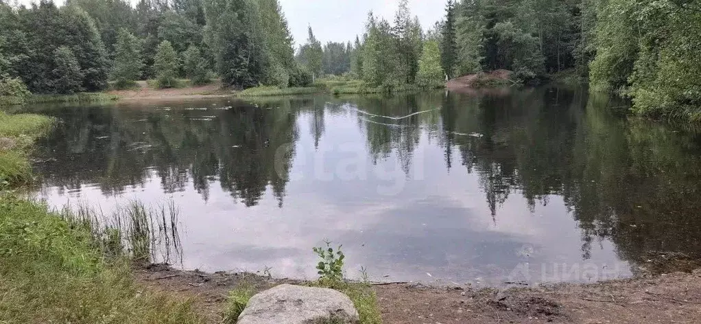 Участок в Ленинградская область, Всеволожский район, Сертоловское ... - Фото 1