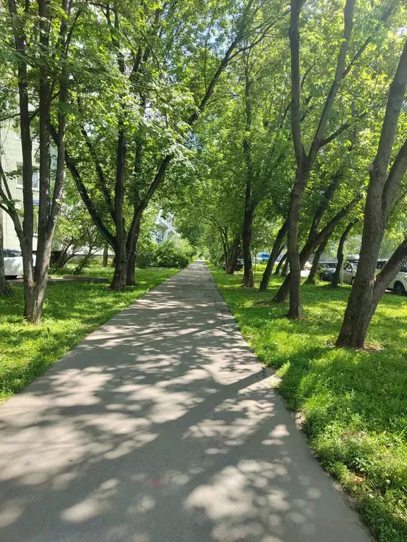Продаётся 2-к квартира, 54 м - Фото 1
