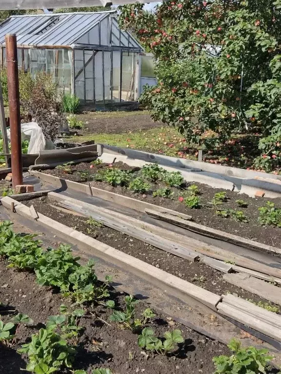 Участок в Челябинская область, Озерск Уралец СНТ, 86 (619.0 сот.) - Фото 2