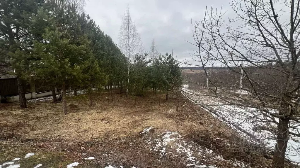 Участок в Московская область, Истра муниципальный округ, д. Бодрово  ... - Фото 0