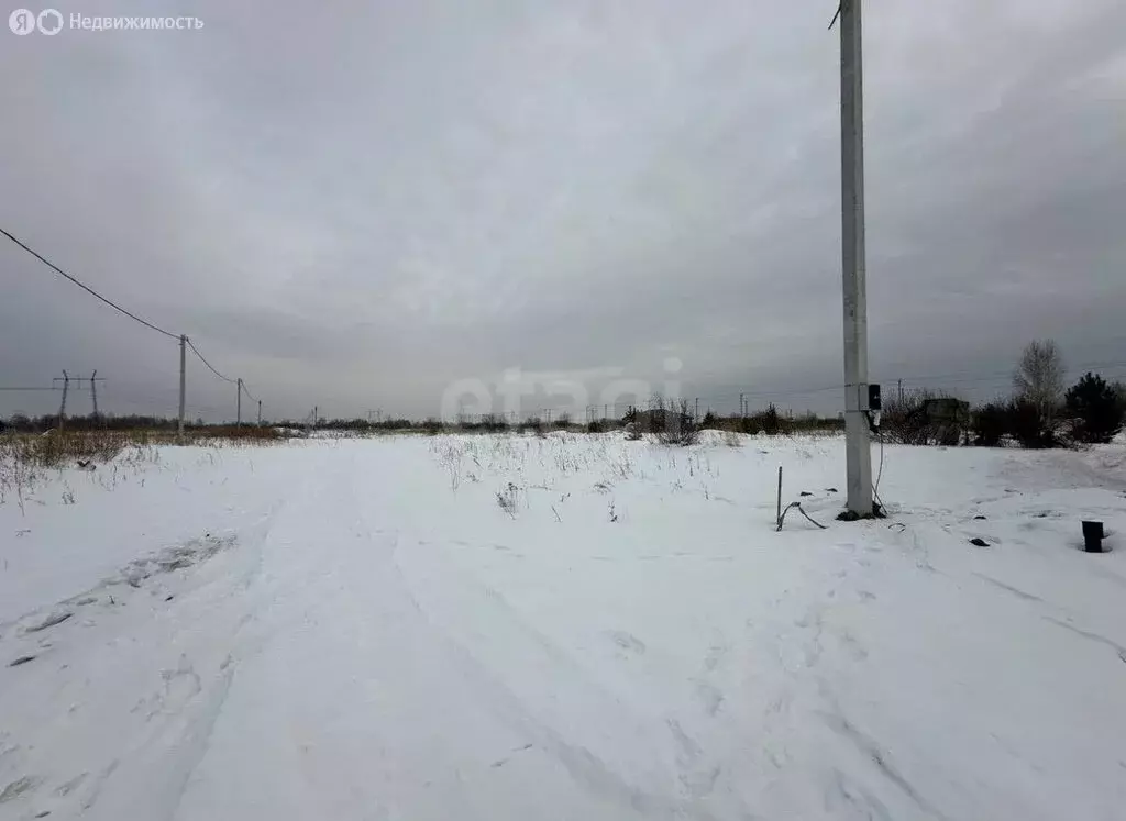 Участок в Тюмень, ТОО Ембаевское (6.4 м) - Фото 2