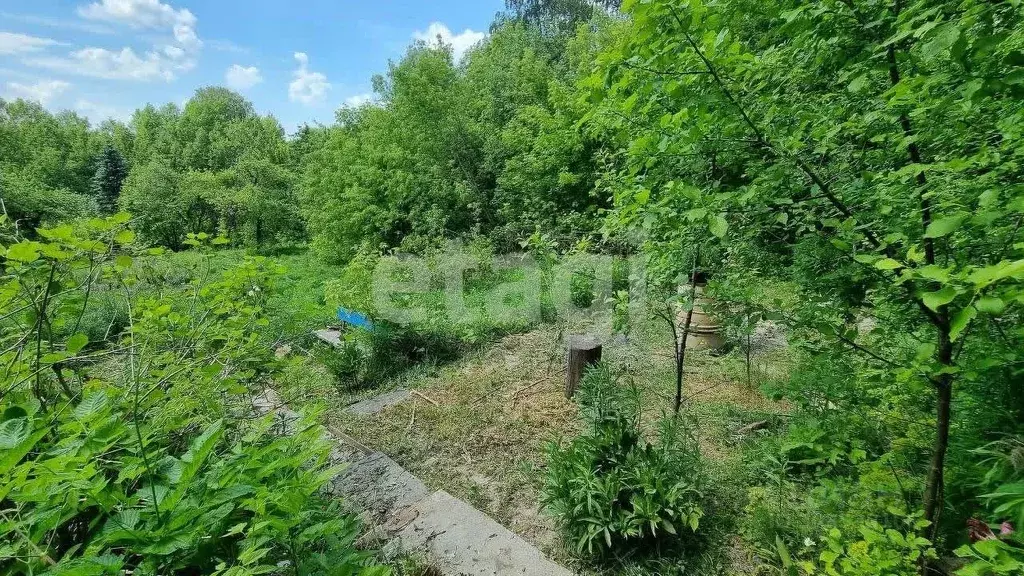 Участок в Брянская область, Брянск Труд садоводческое объединение,  ... - Фото 1