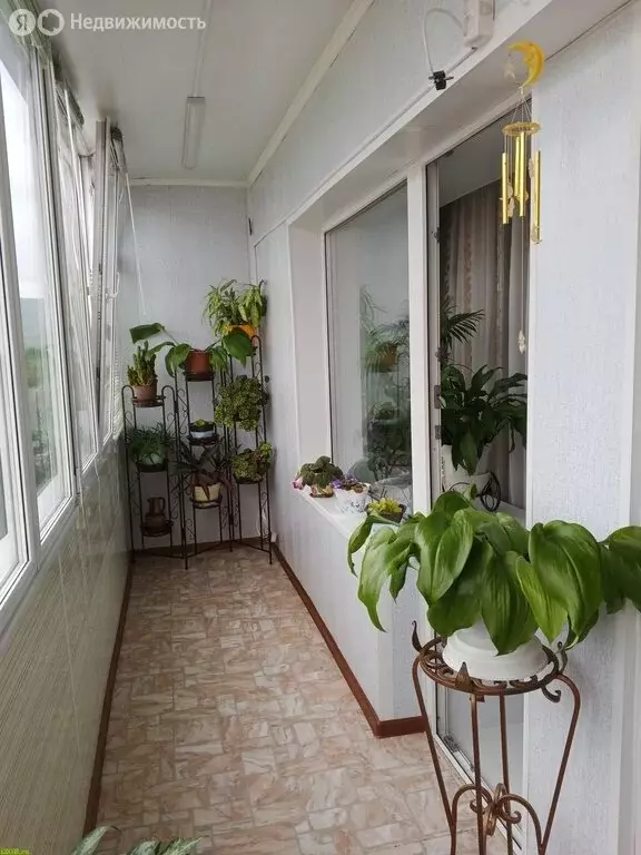 2-комнатная квартира: Зеленогорск, Набережная улица, 30 (46 м) - Фото 0
