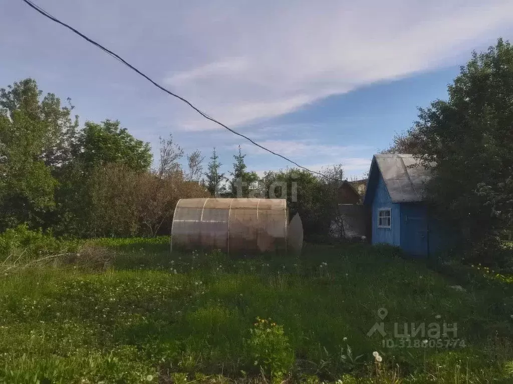 Дом в Башкортостан, Уфимский район, Авдонский сельсовет, Рябинушка СНТ ... - Фото 2