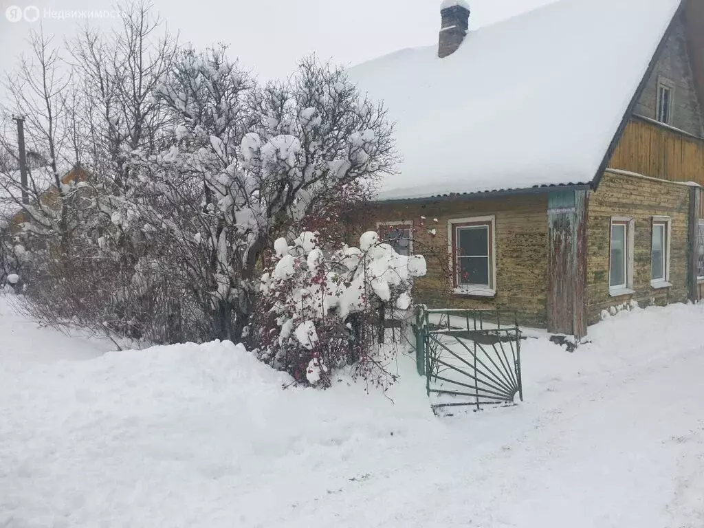 Дом в деревня Новый Изборск, Октябрьская улица (46.7 м) - Фото 0