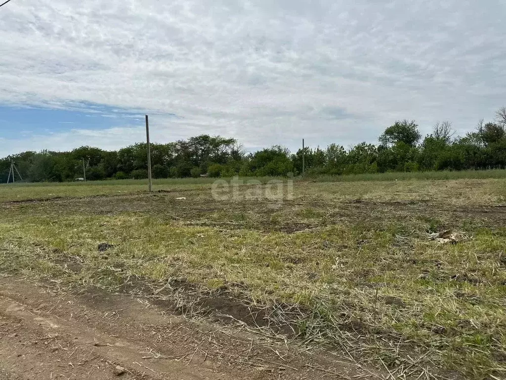 Участок в Ростовская область, Неклиновский район, с. Новобессергеневка ... - Фото 1