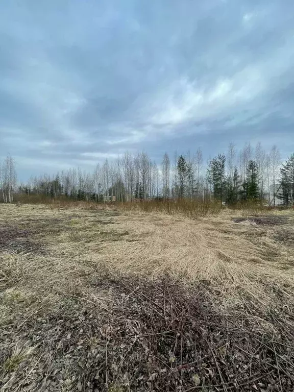 Участок в Ленинградская область, Всеволожский район, Агалатовское ... - Фото 0