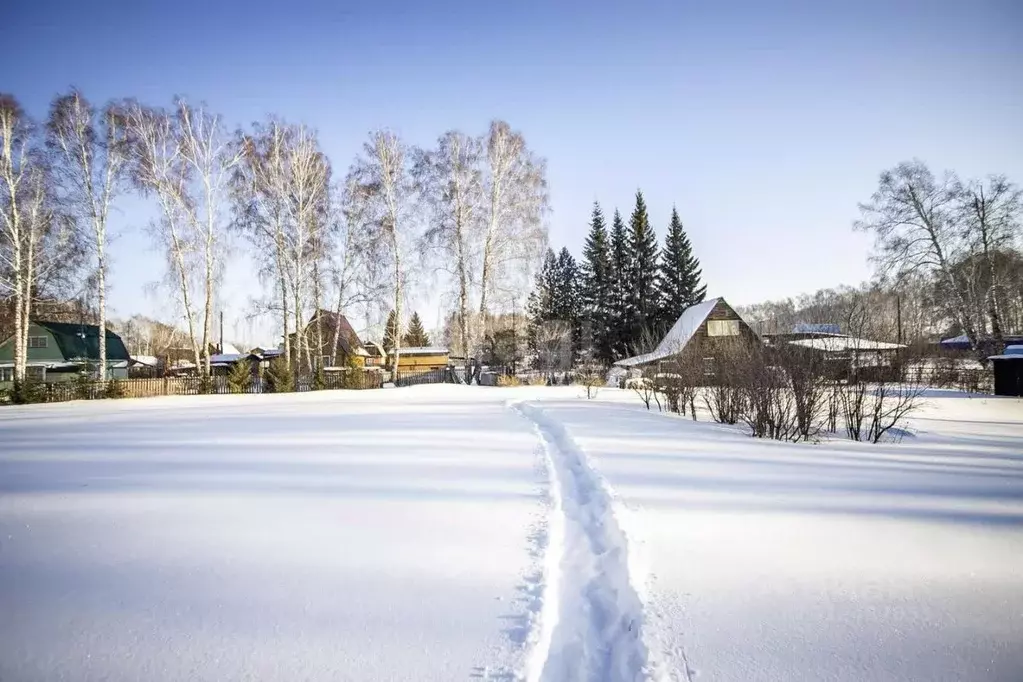 Дом в Новосибирская область, Бердск Луговое-1 СНТ,  (38 м) - Фото 1