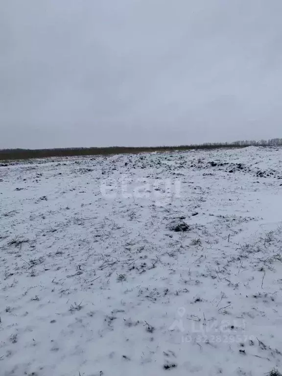 Участок в Белгородская область, Белгородский район, Головинское с/пос, ... - Фото 1