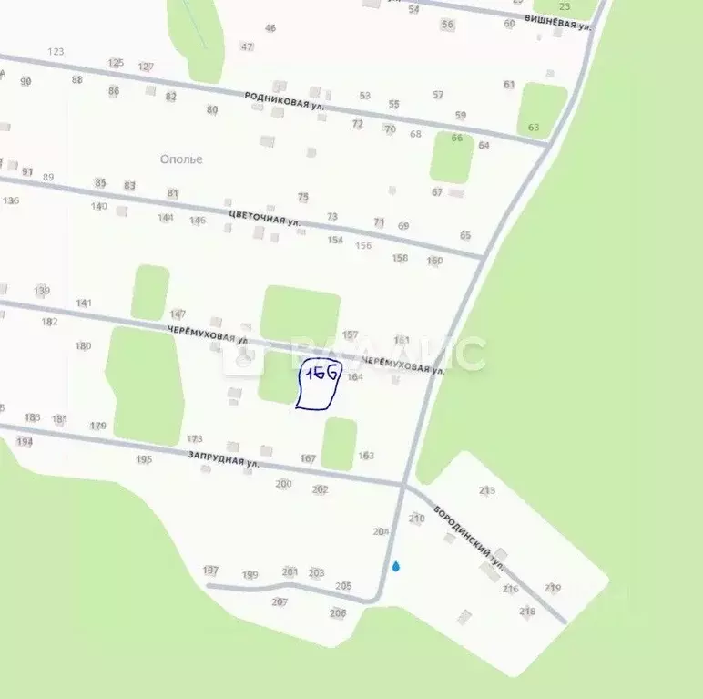 Участок в Владимирская область, Суздальский район, Новоалександровское ... - Фото 2