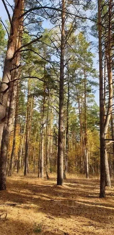 Дом в Липецкая область, Липецк Желтые пески СНТ, 381 (170.0 м) - Фото 1
