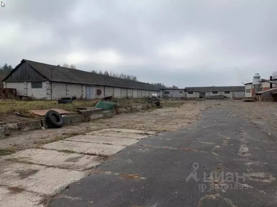 Склад в Брянская область, Трубчевск Лесная ул, 36 (1545.3 м) - Фото 1