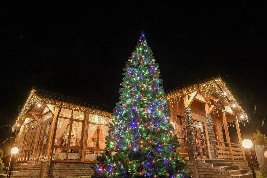 Дом в Московская область, Щелково городской округ, д. Огуднево 2АС3 ... - Фото 1