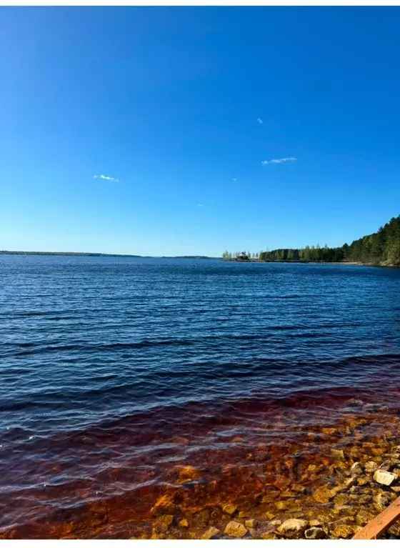 Участок в Тверская область, Селижаровский муниципальный округ, д. ... - Фото 1