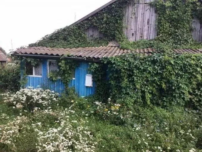 3-к кв. Нижегородская область, Вадский муниципальный округ, с. Умай ... - Фото 1