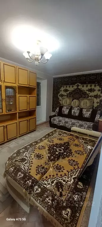 1-к кв. Волгоградская область, Волгоград ул. Рыкачева, 16 (33.0 м) - Фото 1