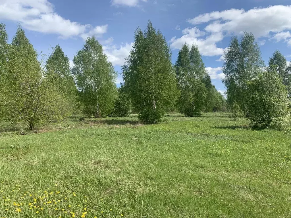 Дом в Башкортостан, Иглинский район, Чуваш-Кубовский сельсовет, с. ... - Фото 1