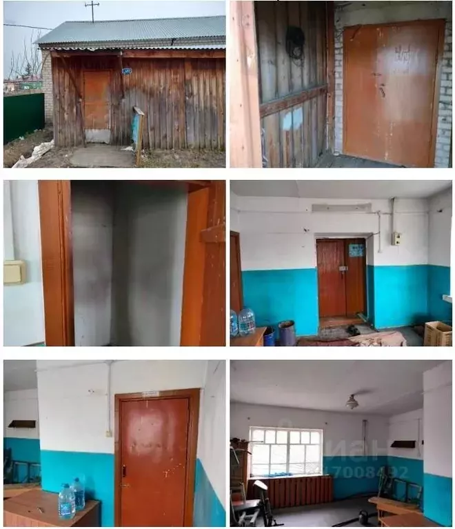 Помещение свободного назначения в Новосибирская область, Мошковский ... - Фото 0