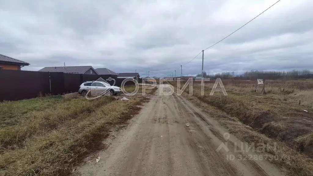 Участок в Тюменская область, Тюменский муниципальный округ, с. Борки ... - Фото 1