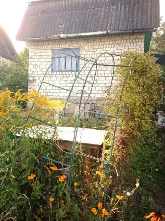 Дом в Брянская область, Фокино Мичуринец-4 СНТ,  (25 м) - Фото 2