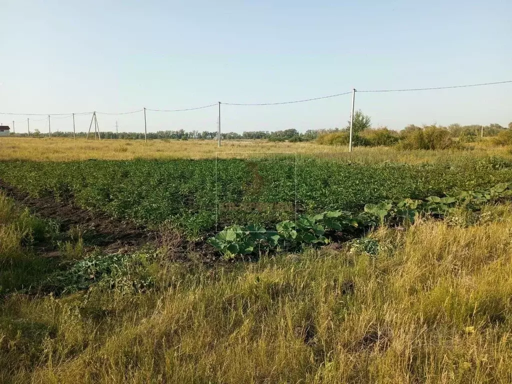 Участок в Курганская область, Курган ул. Лыжная (10.0 сот.) - Фото 0