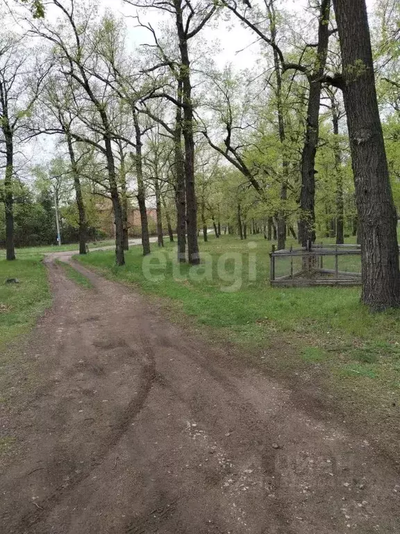 Участок в Башкортостан, Уфимский район, Юматовский сельсовет, с. ... - Фото 1