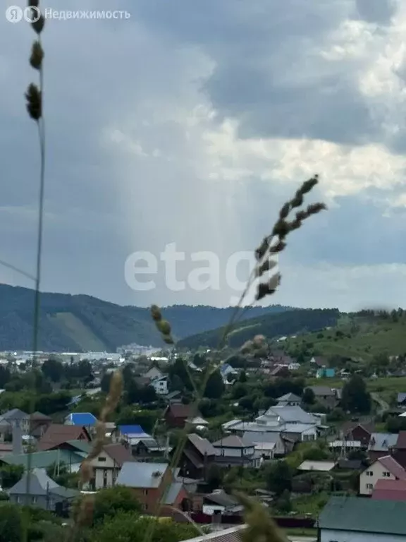 Участок в Алфёрово, улица С.И. Дворникова (10 м) - Фото 1