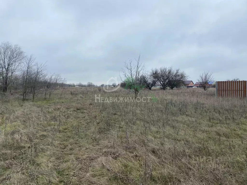 Участок в Краснодарский край, Ейский район, с. Кухаривка ул. Советов ... - Фото 2